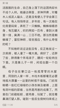 在菲律宾护照丢失怎么补办(补办护照全新攻略)